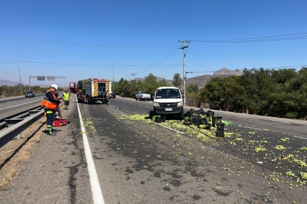 Foto: cedida a Chicureo Hoy