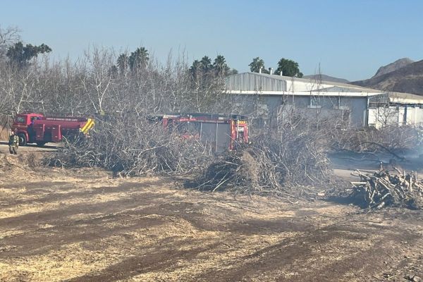 Foto: cedida a Chicureo Hoy