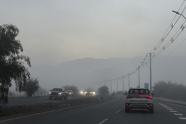 Intensa niebla