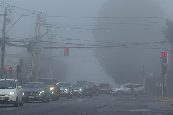 Intensa niebla