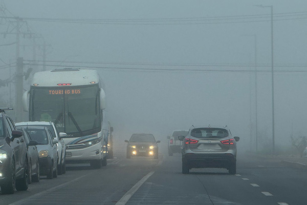 Intensa niebla
