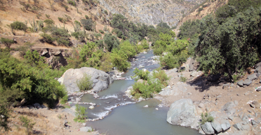 río Colina humedal