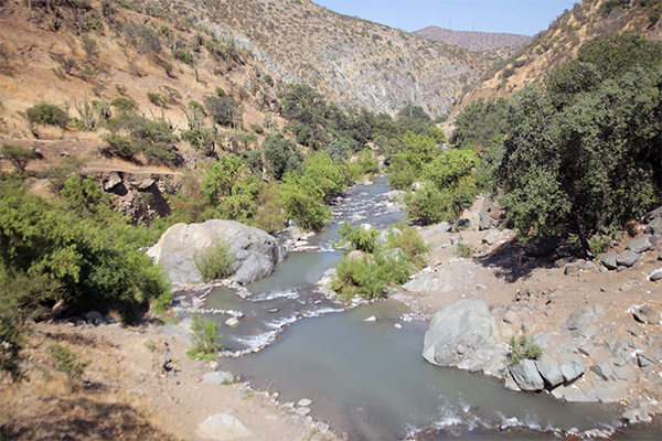 río Colina humedal