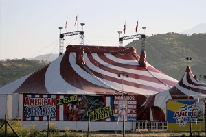Circochicureo1
