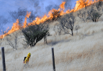 balance incendios 20/02