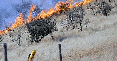 balance incendios 20/02