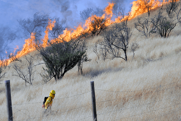 INCENDIO-CHAMISERO--13