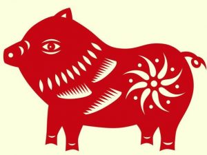 chancho