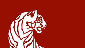 tigre