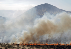 incendios balance 13/01