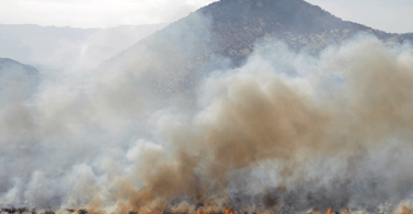 incendios balance 13/01