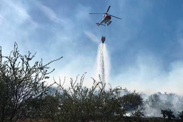 Bomberos y Conaf