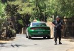 Encuentran puma en condominio