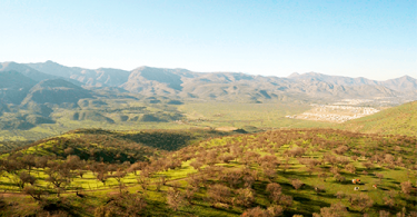 Venta de terreno