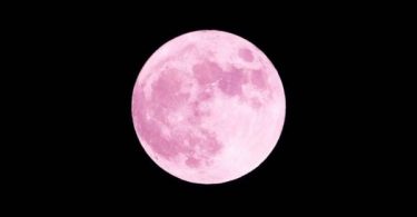 luna rosa