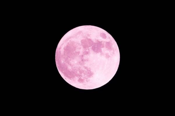 luna rosa