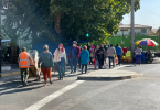 ipsos propuesta constitucional