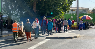 ipsos propuesta constitucional