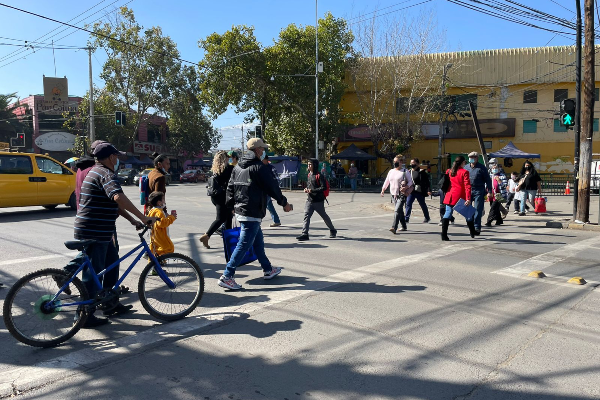 Ipsos trabajadores