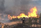 Campaña Comunidad contra el fuego 11/12