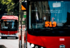 bus Red peatón