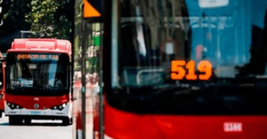 bus Red peatón