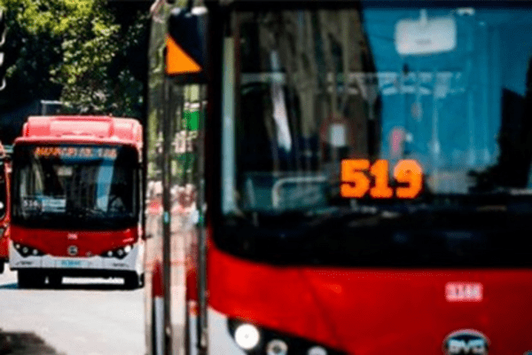 bus Red peatón