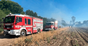 incendios forestales