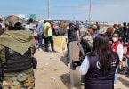 ingresos irregulares baja 46% 07/11