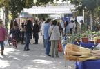 Expo Agrícola