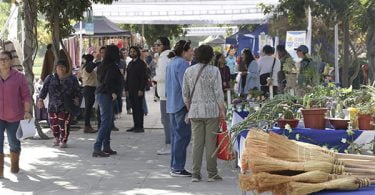 Expo Agrícola