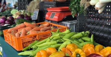 estudio alimentación