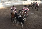 Colina Rodeo fiestas patrias