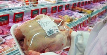 colusión pollos 04/12