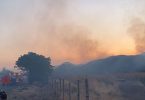 [AHORA] Incendio forestal