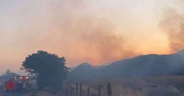 [AHORA] Incendio forestal
