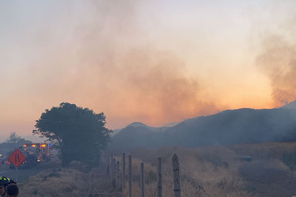 [AHORA] Incendio forestal