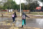 Gobierno descarta