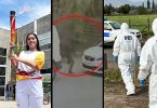 El resumen de noticias