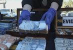 fraude al fisco
