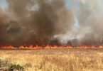 Incendio forestal
