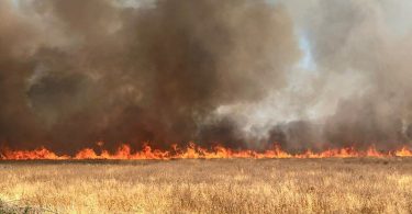 Incendio forestal