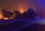 Incendio forestal