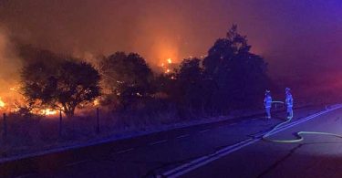 Incendio forestal
