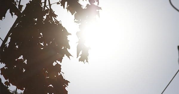 temperaturas extremas