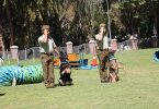 Carabineros experiencias migratorias