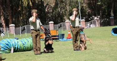 Carabineros experiencias migratorias