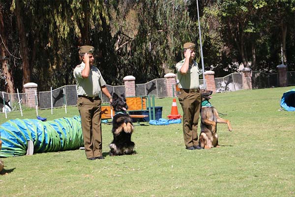 Carabineros experiencias migratorias