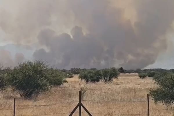 incendio forestal