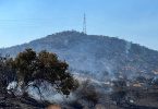 incendio Pie Andino